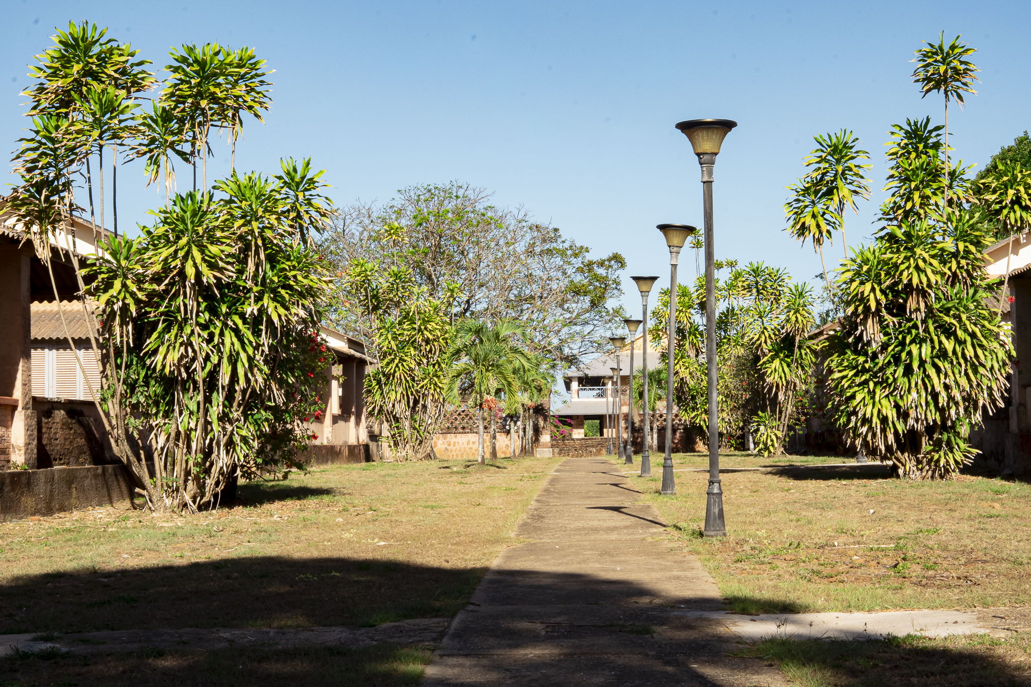 Terrasse sous les cocotiers, face à la mer